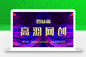 高羽网创百站篇第14讲:搭建yp社交圈,大蓝海暴li项目【视频课程】