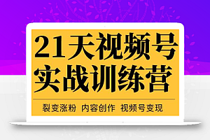张萌21天视频号实战训练营,裂变涨粉、内容创作、视频号变现 价值298元