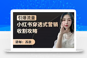 苏歆:小红书穿透式营销收割攻略,引爆流量,助你玩转小红书