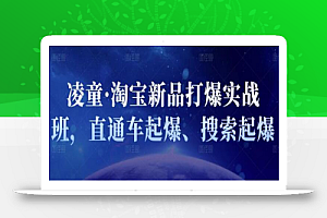 凌童·淘宝新品打爆实战班,直通车起爆、搜索起爆