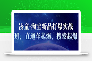 凌童·淘宝新品打爆实战班，直通车起爆、搜索起爆