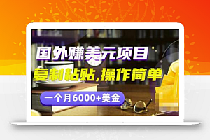 分享一个国外赚美元项目:复制粘贴一个月6000+美金,简单易操作