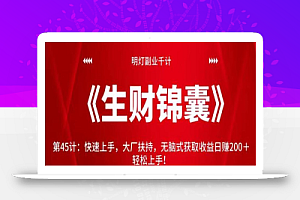 明灯副业千计—《生财锦囊》第45计:快速上手,大厂扶持,无脑式获取收益日赚200+轻松上手!【视频课程】