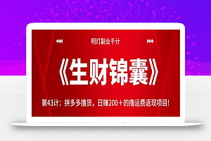 明灯副业千计—《生财锦囊》第43计:拼多多撸货,日赚200+的撸运费返现项目!【视频课程】