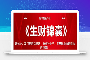 明灯副业千计—《生财锦囊》第46计:冷门新思路玩法,分分钟上千,零基础小白最适合的项目!【视频课程】