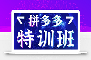 星雪教育·拼多多基础班+进阶班+突破班,用系统的学习模式快速改变现状价值3580元