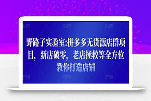 野路子实验室:拼多多无货源店群项目,新店破零,老店拯救等全方位教你打造店铺