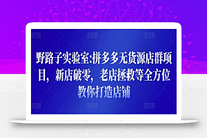 野路子实验室:拼多多无货源店群项目，新店破零，老店拯救等全方位教你打造店铺