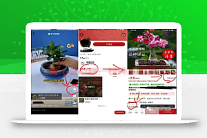 蓝海项目,详细拆解日出千单,日入3000的核心玩法