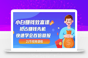 【全网最火】小白赚钱致富课:抢占赚钱先机快速学会百倍回报(25节视频)