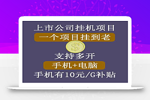 睿思挂机项目,支持手机电脑一起挂,支持虚拟机多开,手机挂有10元每G的流量补贴