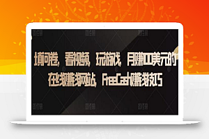 填问卷,看视频,玩游戏,月赚100美元的在线赚钱网站,FreeCash赚钱技巧