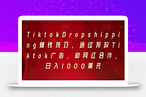 Tiktok Dropshipping赚钱技巧,通过投放Tiktok广告,和网红合作,日入1000美元