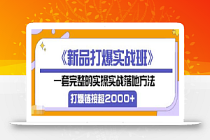 凌童《新品打爆实战班》,一套完整的实操实战落地方法,打爆链接超2000+(28节课)