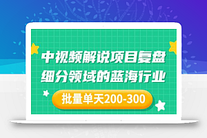 某付费文章:中视频解说项目复盘:细分领域的蓝海行业 批量单天200-300收益