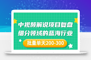 某付费文章：中视频解说项目复盘：细分领域的蓝海行业 批量单天200-300收益