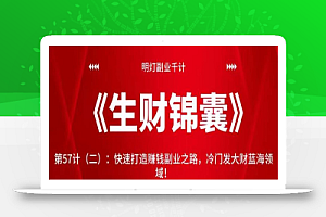 明灯副业千计—《生财锦囊》第57计(二):快速打造赚钱副业之路,冷门发大财蓝海领域!【视频课程】
