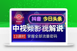 嚴如意·中视频影视解说—掌握流量密码,自媒体运营创收,批量运营账号