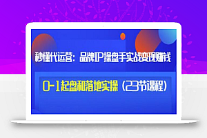 秒懂代运营:品牌IP操盘手实战赚钱,0-1起盘和落地实操(23节课程)价值199