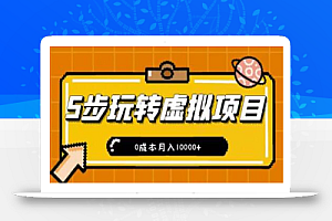 新手小白只需5步,即可玩转虚拟项目,0成本月入10000+【视频课程】