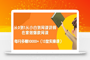从0到1从小白到网课讲师:在家做爆款网课,每月多赚10000+(15堂实操课)