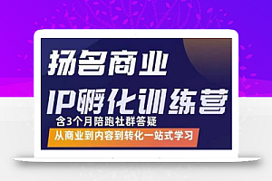 杨名商业IP孵化训练营,从商业到内容到转化一站式学 价值5980元