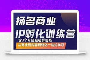 杨名商业IP孵化训练营，从商业到内容到转化一站式学 价值5980元