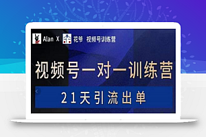 AlanX花爷·视频号引流出单训练营,视频号引流出单必杀技