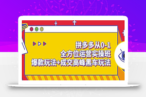 拼多多从0-1全方位运营实操班:爆款玩法+成交高峰黑车玩法