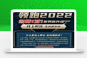 牛气学堂老陶电商【第9期】,拼多多名师线上领跑28天,线上孵化-实战爆款班
