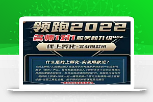 牛气学堂老陶电商【第9期】，拼多多名师线上领跑28天，线上孵化-实战爆款班