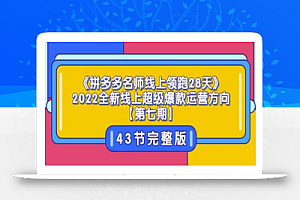 《拼多多名师线上领跑28天》2022全新线上超级爆款运营方向【第七期】43节课