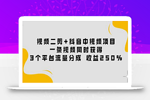 视频二剪+抖音中视频项目:一条视频获得3个平台流量分成收益250%价值4980