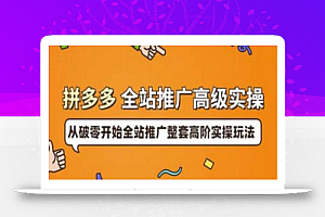 拼多多全站推广高级实操:从破零开始全站推广整套高阶实操玩法