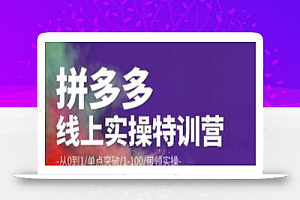 青云:拼多多运营实操特训营:从0到1/单点突破/1-100/带领实操价值2980元
