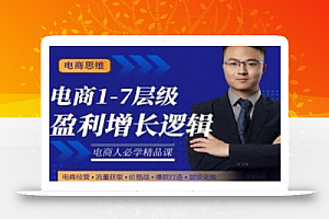 大圣:电商1-7层级盈利增长底层逻辑课(线上视频课),用简单的话,让你掌握电商盈利的底层逻辑