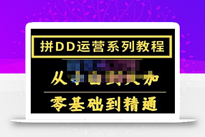 2022全套拼多多核心实操课程,从0-1轻松起链接实战,低投入高产出运作店铺