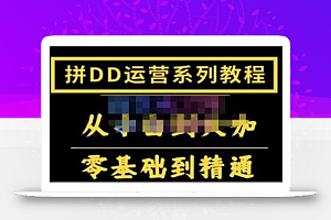 2022全套拼多多核心实操课程，从0-1轻松起链接实战，低投入高产出运作店铺