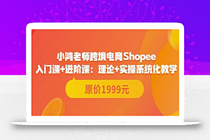 鸿老师跨境电商Shopee入门课+进阶课:理论+实操系统化教学(原价1999)