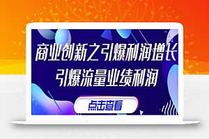 张琦《商业创新之引爆利润增长》引爆流量业绩利润