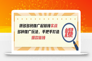 拼多多纯推广起链接实战:多种推广玩法,手把手打造爆款链接
