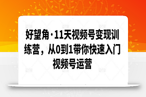 好望角·11天视频号变现训练营,从0到1带你快速入门视频号运营