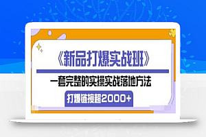 《新品打爆实战班》一套完整的实操实战落地方法,打爆链接超2000+(38节课)