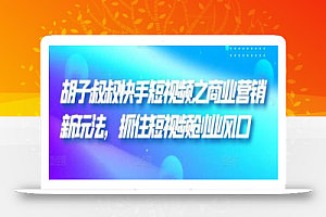 胡子叔叔快手短视频之商业营销新玩法,抓住短视频创业风口