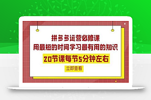 拼多多运营必修课:20节课每节5分钟左右,用最短的时间学习最有用的知识