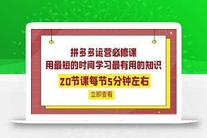 拼多多运营必修课：20节课每节5分钟左右，用最短的时间学习最有用的知识