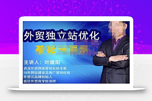 叶建阳老师·外贸独立站优化基础与进阶,外贸独立站SEO入门到精通