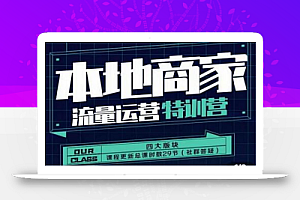 罗老师·本地商家流量运营特训营,四大板块30节,本地实体商家必看课程