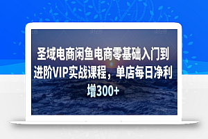 圣域电商闲鱼电商零基础入门到进阶VIP实战课程,单店每日净利增300+