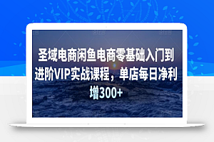 圣域电商闲鱼电商零基础入门到进阶VIP实战课程，单店每日净利增300+